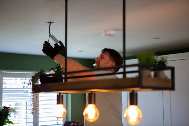 Best Electric Panel Repair  in West Allis, WI